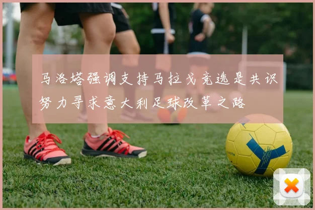 马洛塔强调支持马拉戈竞选是共识努力寻求意大利足球改革之路